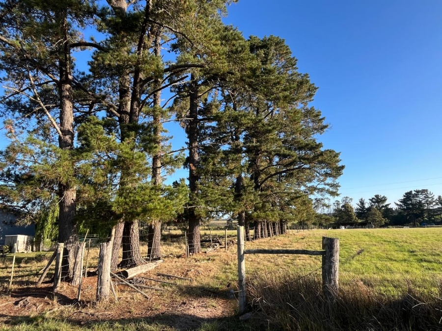 Commercial Property for Sale in Plettenberg Bay Rural Western Cape